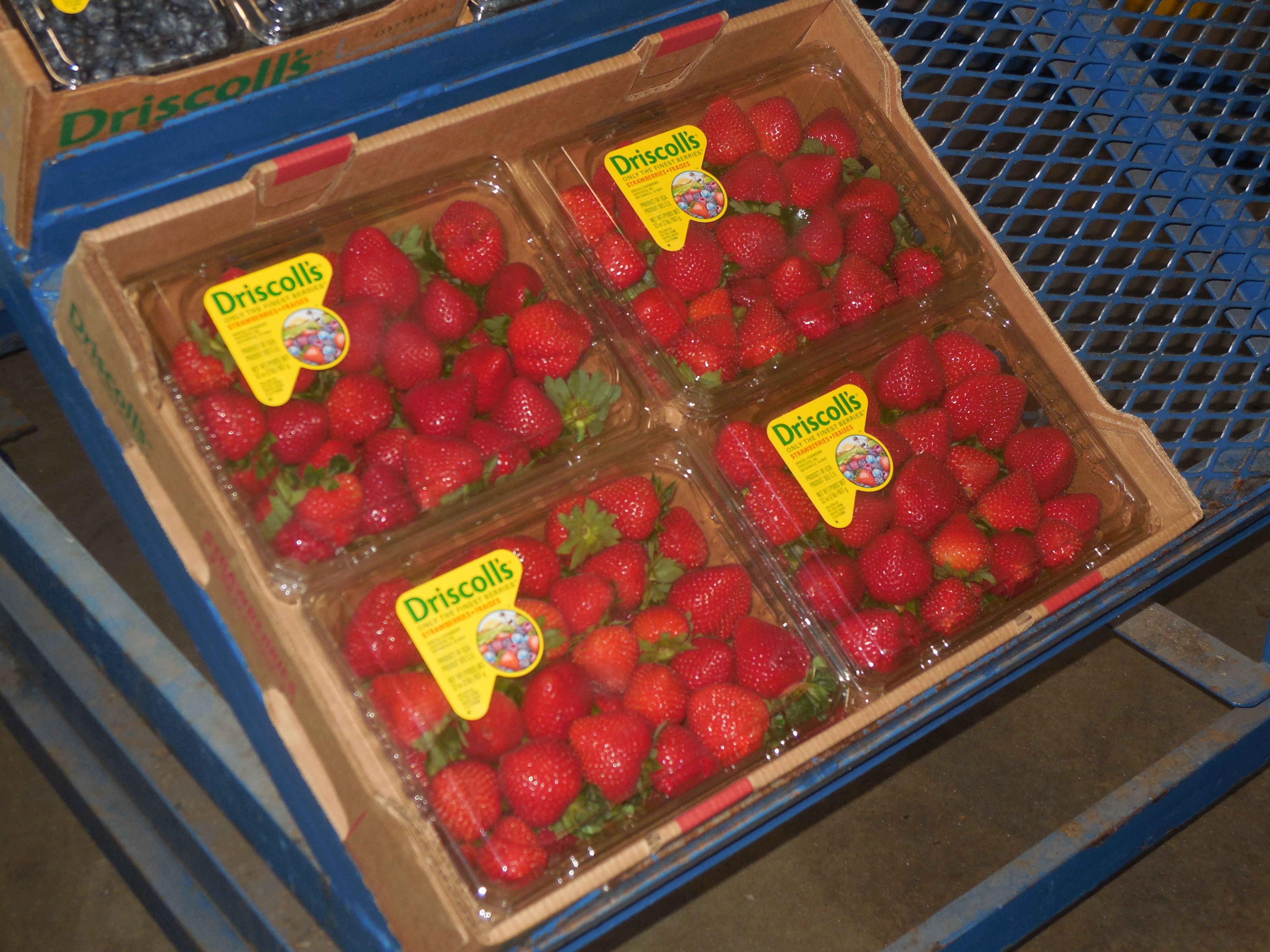 Strawberry Study Concludes the Berries Lower Cholesterol Haul Produce