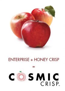 cosmiccrisp