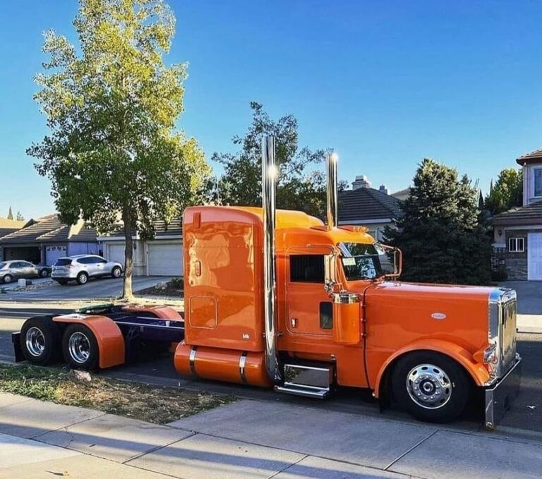 I heared these kind of trucks are calling 'caminhao arqueado'. can anybody  tell me whats the reason of this custom? and what is that big signs under  the hauler? or I'll thank