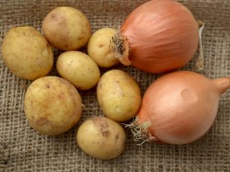 CSS Farms Partners with RPE on Agri-Pack Onion and Potato Shipments ...