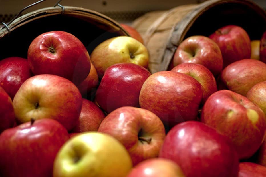 Applewood Fresh, Belding Fruit Storage form Strategic Partnership with Michigan Apples